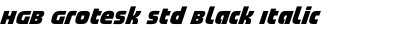 HGB Grotesk Std Black Italic